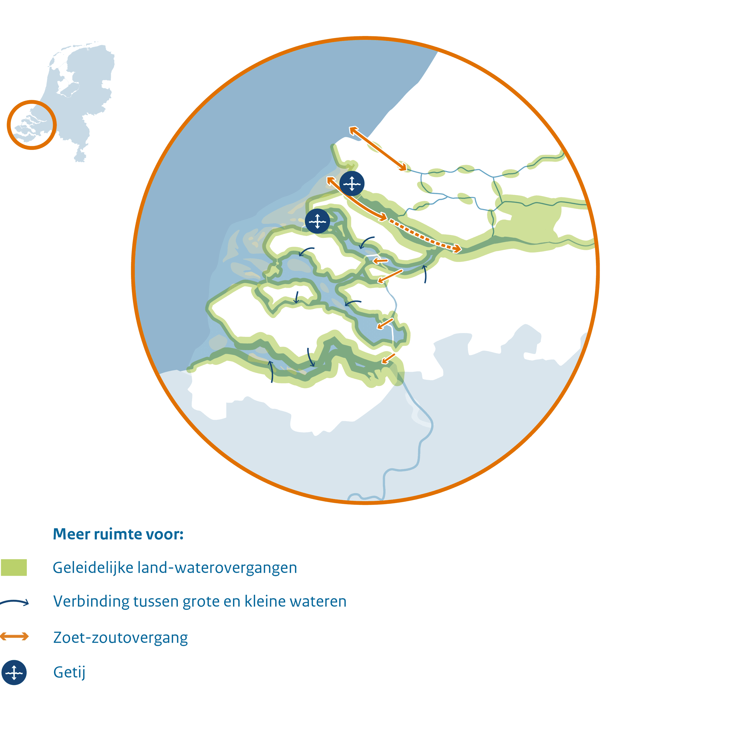 Monding Rijn Ecologisch Streefbeeld Rijn-, Maas- en Scheldemonding | PAGW