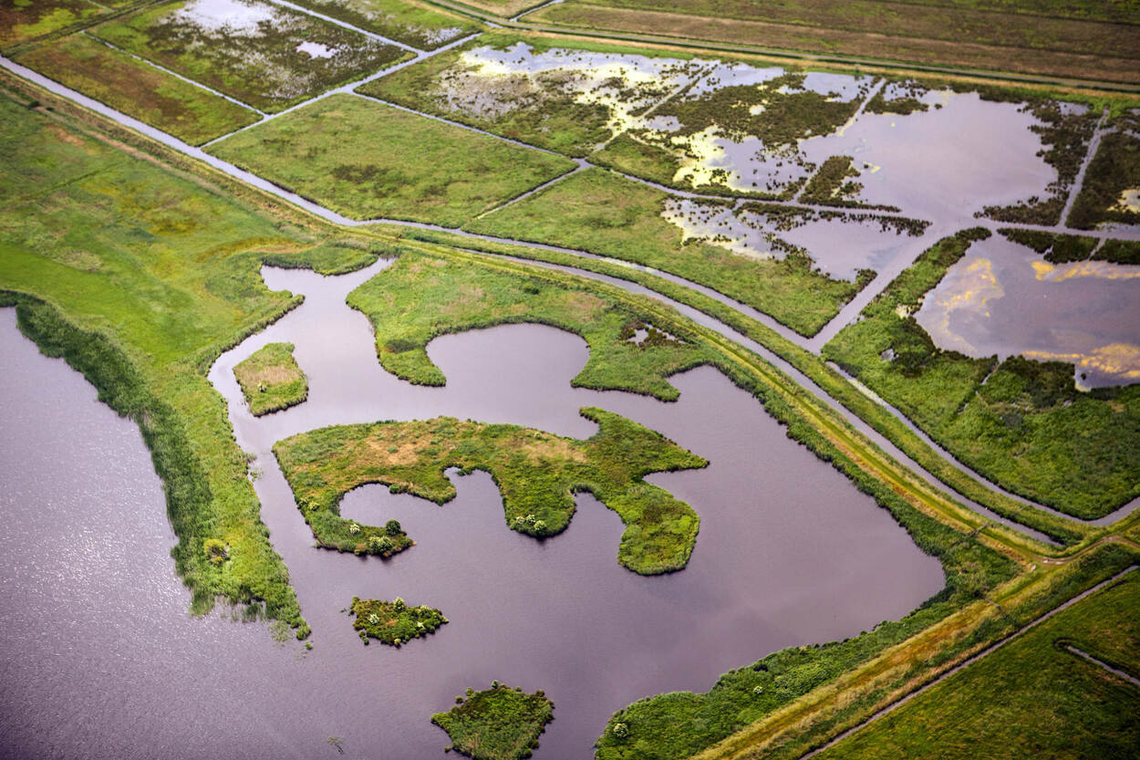 Waddengebied Hunze Balloerveld Groningen