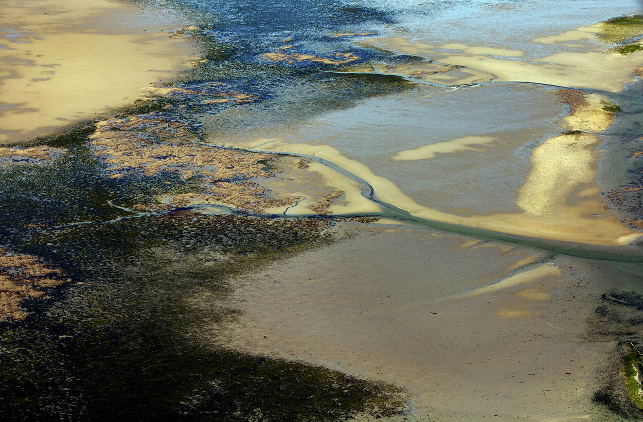 Zandplaten bij de Oosterschelde