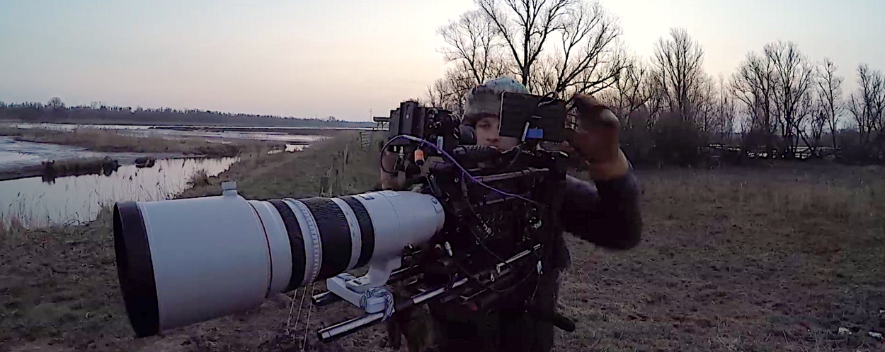 Cameraman aan het werk in natuurgebied