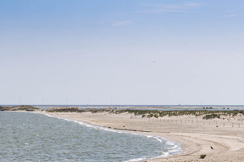 Een strand op de Markerwadden.