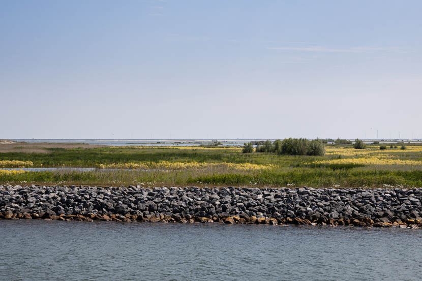 Natuur op de Markerwadden.