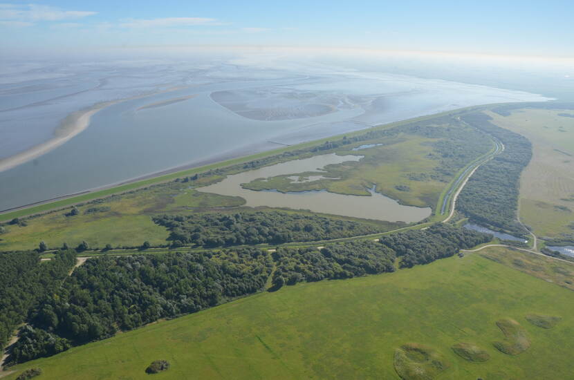 Luchtfoto van de Marnewaard in het Lauwersmeer