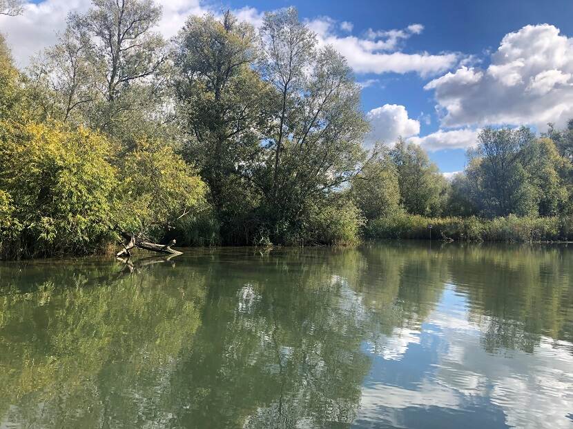 Westelijke oever Gat van den Kleinen Hil, Biesbosch