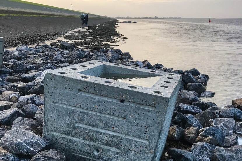 Blok voor dijkversterking dat de toename van zeeleven bevordert.